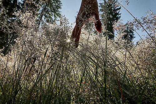 Rösslwirts Energietage